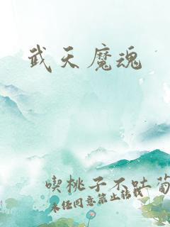 武天魔魂