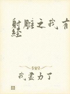 射雕之我有太玄经