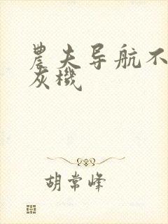 农夫导航不要打灰机