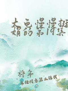 大龟慢慢挺进张娟的第19集