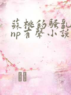 苏桃的骚乱文肉np有声小说