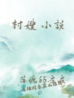 村嫂 小说