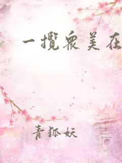 一揽众美在三国