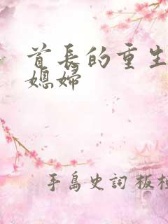 首长的重生宝贝媳妇