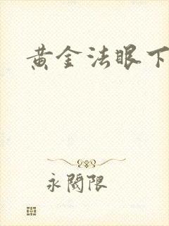 黄金法眼下载