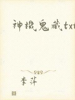 神机鬼藏txt