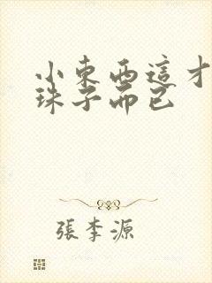 小东西这才一颗珠子而已