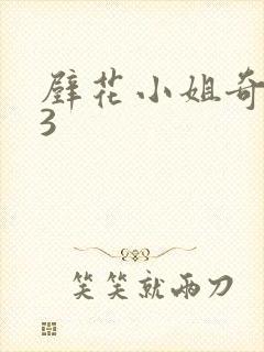 壁花小姐奇遇记3