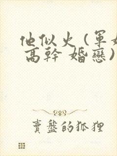 他似火 (军婚 高干 婚恋)