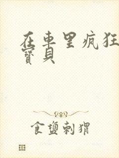 在车里疯狂挺进宝贝