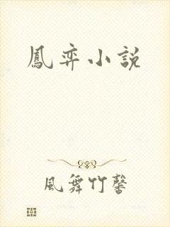 凤弈小说