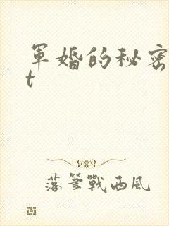 军婚的秘密txt