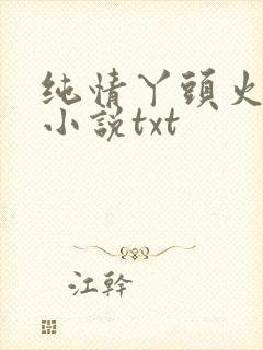 纯情丫头火辣辣小说txt