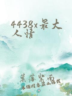 4438x最大人情
