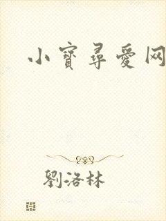 小宝寻爱网址
