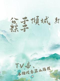 公子倾城 维和粽子