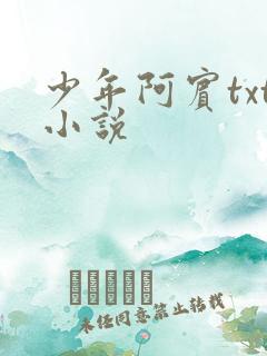 少年阿宾txt小说