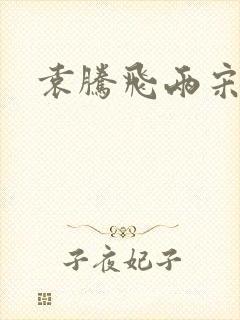 袁腾飞两宋风云