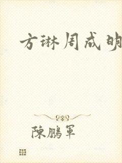 方琳周成明小说