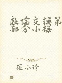 敌伦交换第11部分小梅