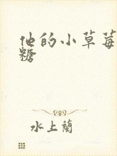 他的小草莓软糖糖