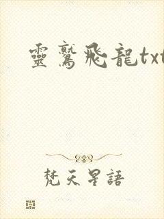 灵鹫飞龙txt