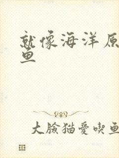 就像海洋原谅了鱼