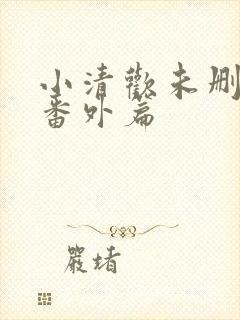 小清欢未删减版番外篇