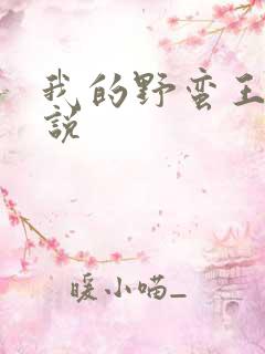 我的野蛮王妃小说
