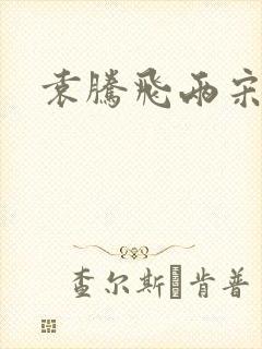 袁腾飞两宋风云