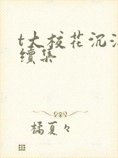 t大校花沉浮录续集