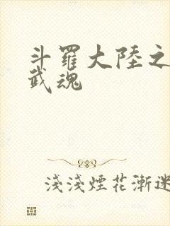 斗罗大陆之三生武魂