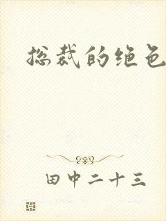 总裁的绝色娇妻