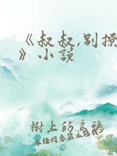《叔叔,别撩我》小说