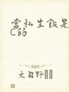 当私生饭是要挨C的