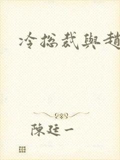 冷总裁与赵大牌