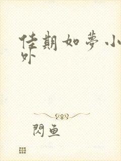 佳期如梦小说番外