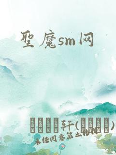 圣魔sm网