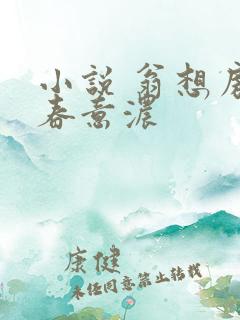 小说 翁想房中春意浓