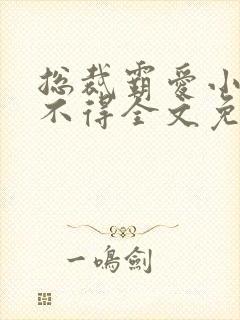 总裁霸爱小妻惹不得全文免费阅读笔趣阁