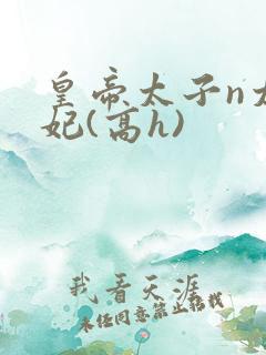 皇帝太子n太子妃(高h)