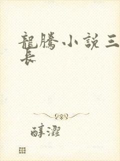 龙腾小说三宝局长