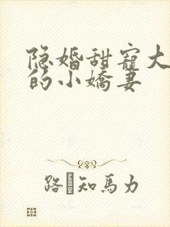 隐婚甜宠大财阀的小娇妻