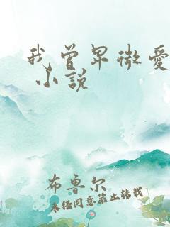 我曾卑微爱过你 小说
