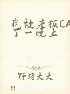 我被老板CAO了一晚上