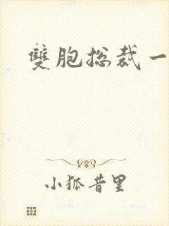 双胞总裁一个妻