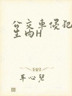 公交车侵犯小男生肉H