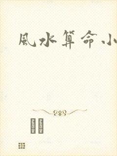 风水算命小说