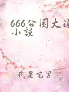 666公园大道小说