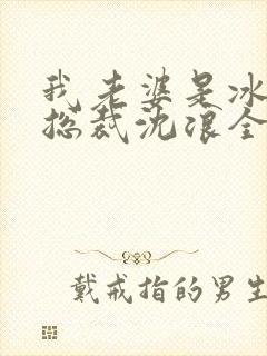 我老婆是冰山女总裁沈浪全集